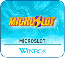 microslot